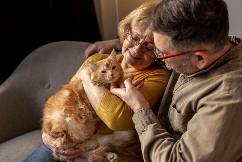 cats are the best pets