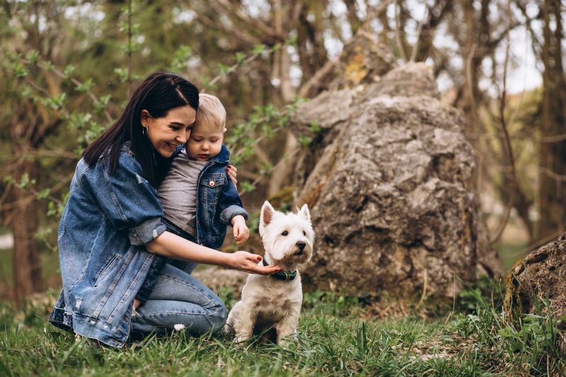 best-small-dog-breeds